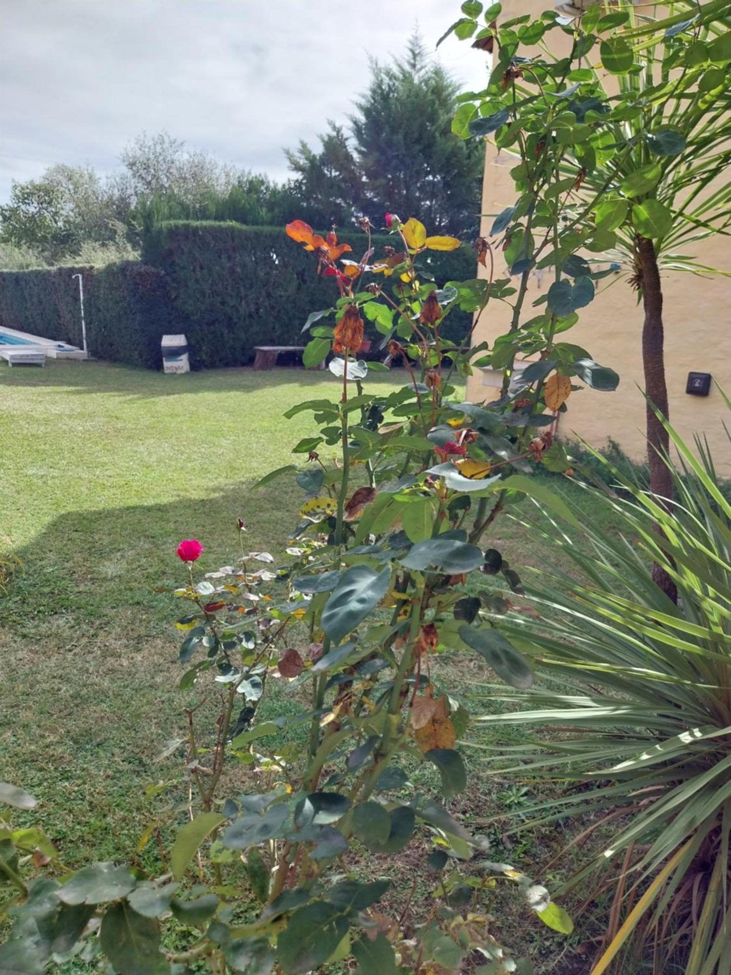 Complejo Cantonavi Nono Bagian luar foto